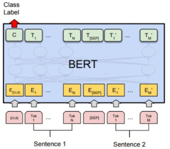 Bert 用于文本分类基本架构